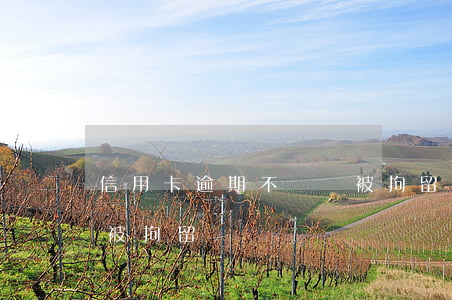 信用卡逾期不還會被拘留嗎(欠信用卡不還會被拘留嗎)