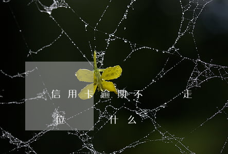 信用卡逾期不還會走訪嗎(信用卡逾期走訪單位會說什么)