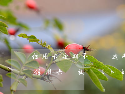 信用卡逾期不還會造成什么后果 什么情況下信用卡會被認(rèn)為嚴(yán)重逾期