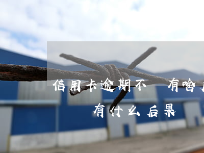 信用卡逾期不還有啥后果(銀行信用卡逾期不還會有什么后果?)