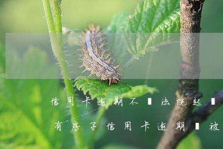 信用卡逾期不還法院起訴房產(chǎn)(有房子信用卡逾期會被起訴)