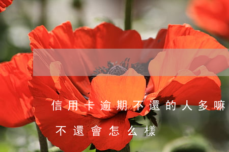信用卡逾期不還的人多嘛(信用卡長時間逾期不還會怎么樣)