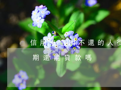 信用卡逾期不還的人從哪里貸款(有信用卡逾期還能貸款嗎)