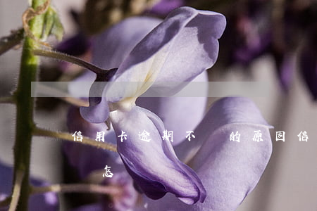信用卡逾期不還的原因(信用卡一直逾期不還會怎樣)