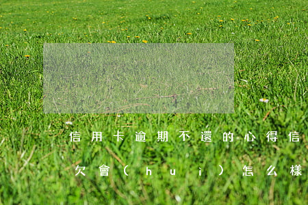 信用卡逾期不還的心得(信用卡還不上逾期拖欠會(huì)怎么樣?)