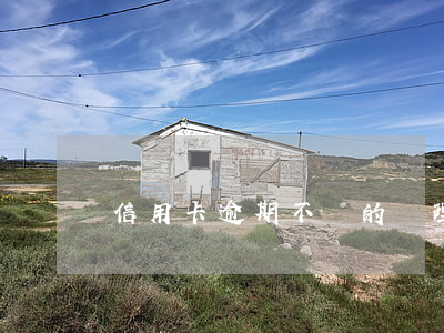 信用卡逾期不還的處理方法(信用卡逾期怎么辦)