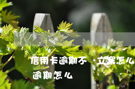 信用卡逾期不還立案怎么判刑(因判刑信用卡逾期怎么辦)