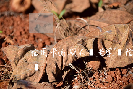 信用卡逾期不還老梁說(信用卡逾期不還老梁說)