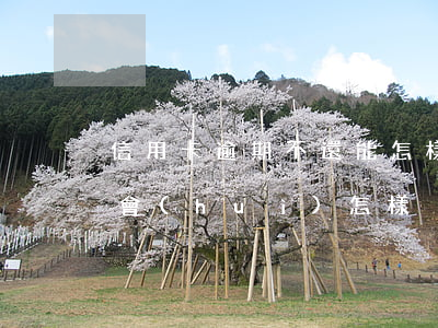 信用卡逾期不還能怎樣(信用卡一直逾期不還會(huì)怎樣)