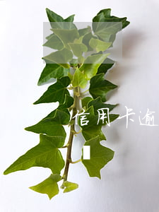 信用卡逾期不還被訴訟(信用卡逾期不還被訴訟)