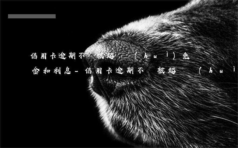 信用卡逾期不還被起訴會(huì)免違約金和利息-信用卡逾期不還被起訴會(huì)免違約金和利息嘛