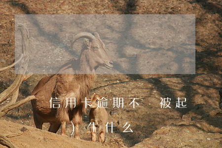 信用卡逾期不還被起訴會(huì)發(fā)生什么