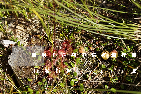 信用卡逾期不還被銀行(信用卡逾期不還被銀行起訴會(huì)怎樣)