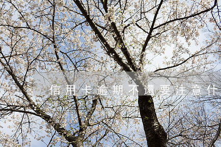 信用卡逾期不還要注意什么
