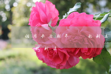 信用卡逾期不還觸犯刑法嗎(信用卡逾期不還觸犯刑法嗎)