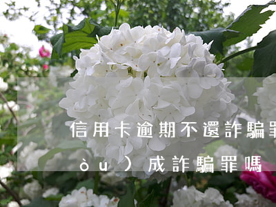 信用卡逾期不還詐騙罪(信用卡逾期會構(gòu)成詐騙罪嗎)