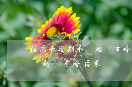 信用卡逾期不還起訴有啥后果（信用卡逾期不還起訴有啥后果）