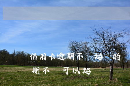 信用卡逾期不還起訴的條件(朋友借信用卡逾期不還可以起訴嗎)