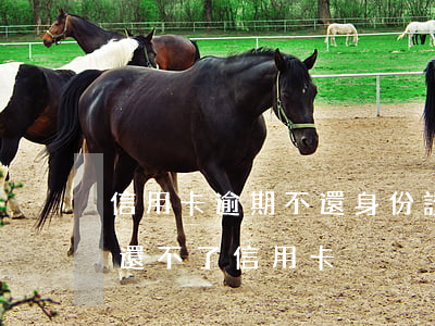 信用卡逾期不還身份證還能用嗎(身份證過期還不了信用卡)