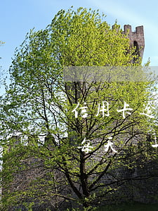 信用卡逾期不還遲那金(信用卡逾期了還不起每天還一點(diǎn))