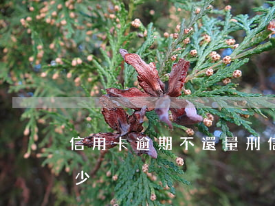 信用卡逾期不還量刑(信用卡逾期不還量刑多少)