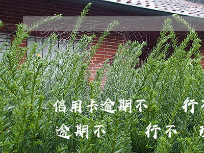 信用卡逾期不還銀行不處理怎么辦-信用卡逾期不還銀行不處理怎么辦呢