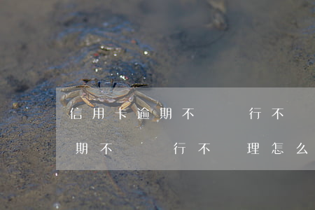 信用卡逾期不還銀行不處理怎么辦(信用卡逾期不還銀行不處理怎么辦呢)