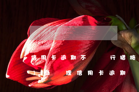 信用卡逾期不還銀行措施(到銀行協(xié)商處理信用卡逾期還款銀行有權(quán)拘留?)