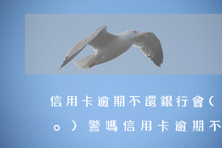 信用卡逾期不還銀行會(huì)報(bào)警嗎(信用卡逾期不還銀行會(huì)報(bào)警嗎嗎)