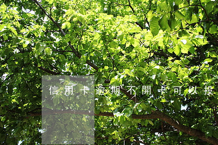 信用卡逾期不開卡可以投訴嗎