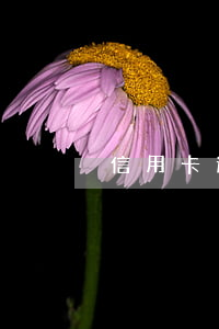 信用卡逾期不面签(办信用卡可以不面签吗)