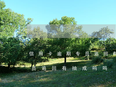 信用卡逾期专员追回有抽成吗(信用卡逾期专员追回有抽成吗吗)