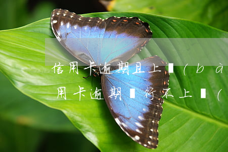 信用卡逾期且上報(bào)央行(是不是信用卡逾期銀行不上報(bào)就不影響征信)
