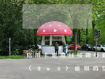 信用卡逾期且被銀行銷(xiāo)卡 有過(guò)逾期的信用卡該不該銷(xiāo)卡