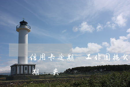 信用卡逾期丟工作(因拖欠工資導致信用卡逾期損失)