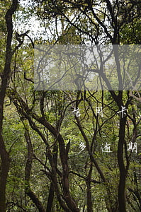 信用卡逾期两三年会坐牢吗(信用卡4000多逾期三个多月会不会坐牢)