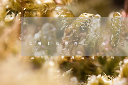 信用卡逾期两三年还可以分期还吗(逾期还清三年能申请信用卡吗)