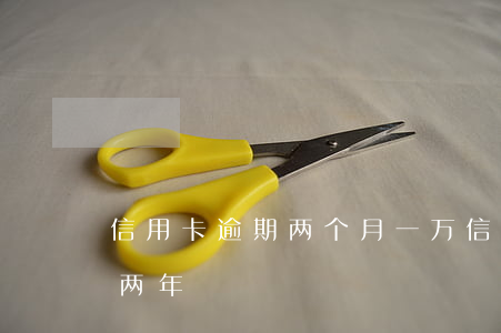 信用卡逾期两个月一万(信用卡一万多逾期了两年)