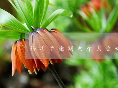 信用卡逾期两个月会被锁卡(逾期多久会锁卡)