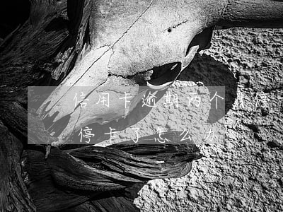 信用卡逾期两个月停卡了(信用卡逾期两个月停卡了怎么办)