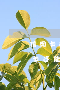 信用卡逾期两个月停卡(信用卡逾期两个月停卡还能用吗)