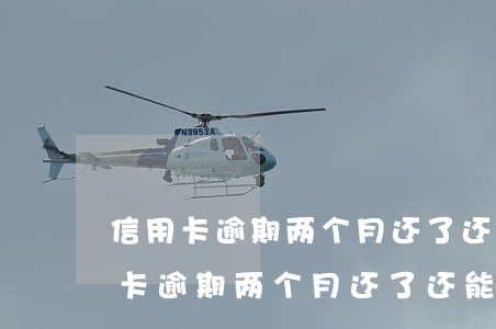 信用卡逾期两个月还了还能刷出来吗-信用卡逾期两个月还了还能刷出来吗