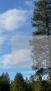 信用卡逾期两天才还上还能再用吗-信用卡逾期两天才还上还能再用吗有影响吗
