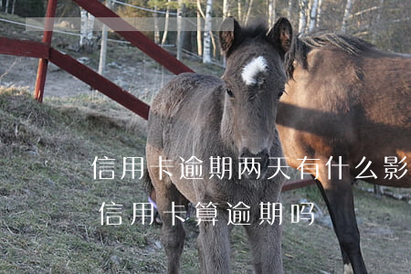 信用卡逾期两天有什么影响吗-超过两天还信用卡算逾期吗