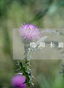 信用卡逾期两天被扣逾期费