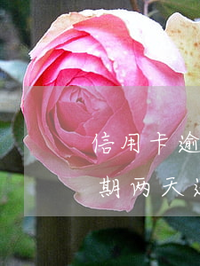 信用卡逾期两天还了能刷出来吗-信用卡逾期两天还了能刷出来吗?