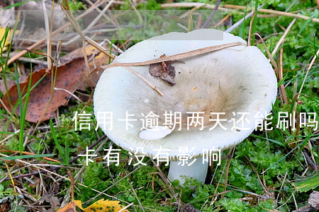 信用卡逾期两天还能刷吗-逾期两天还信用卡有没有影响