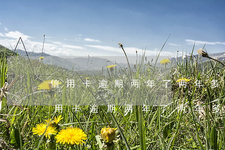 信用卡逾期两年了两年多没还上怎么办?-信用卡逾期两年了两年多没还上怎么办
