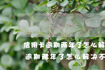 信用卡逾期两年了怎么解决不了了-信用卡逾期两年了怎么解决不了了呢