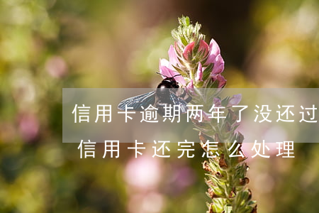 信用卡逾期两年了没还过怎么办(逾期几年的信用卡还完怎么处理)
